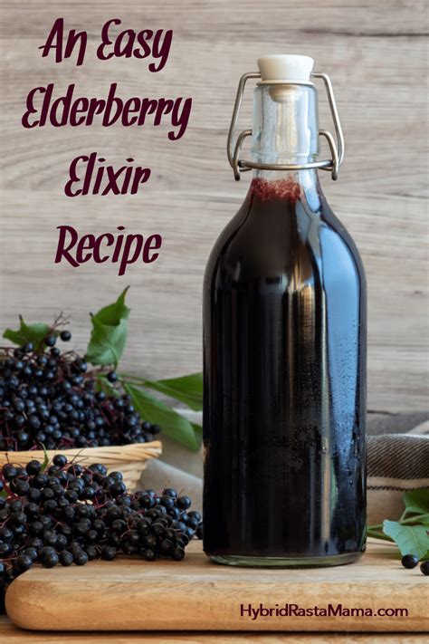 Elderberry Elixir Recipe