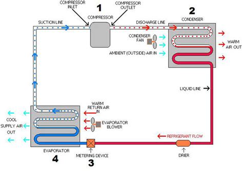 Electrical Circuit