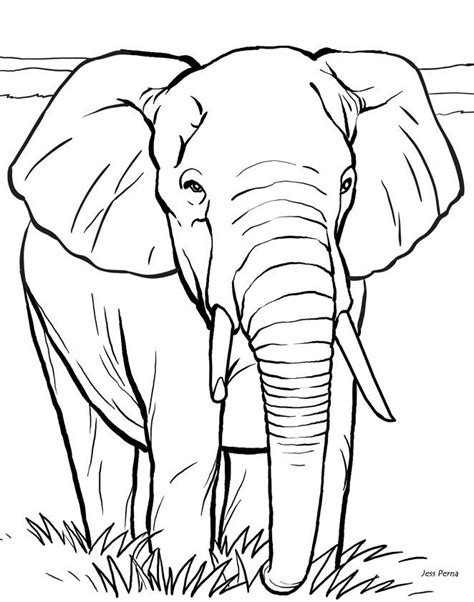 Elefant Tegninger Til Print