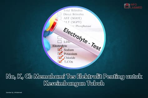 Elektrolit Penting