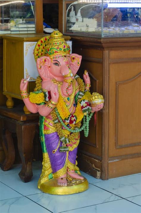 Elephant's Well-being