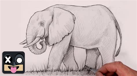 Elephant Drawing Tutorial: Very Hard Techniques