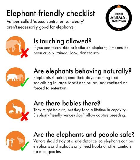 Elephant Interaction checklist