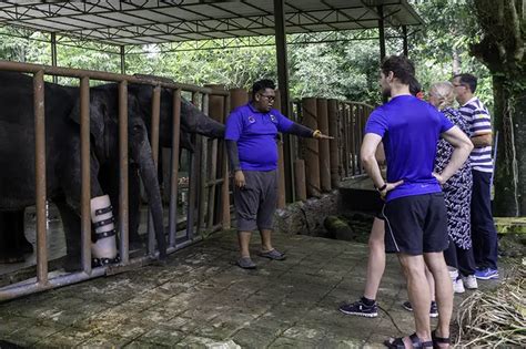 Elephant Sanctuary Briefing