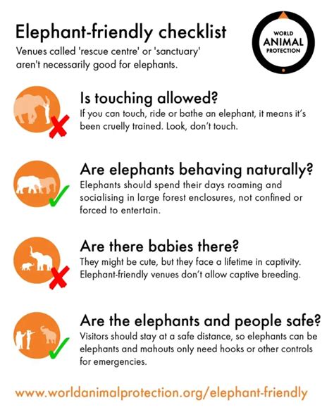 Elephant Sanctuary Checklist