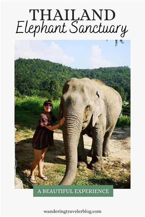 Elephant Sanctuary Packing List