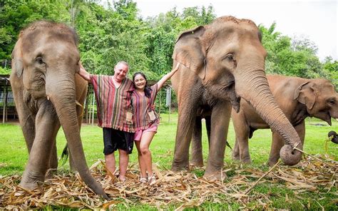 Elephant Sanctuary Visit