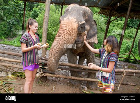 Elephant Sanctuary Visitors