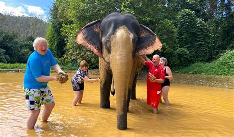 Prepare Elephant Tour