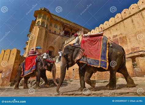 Elephant at Amer Fort