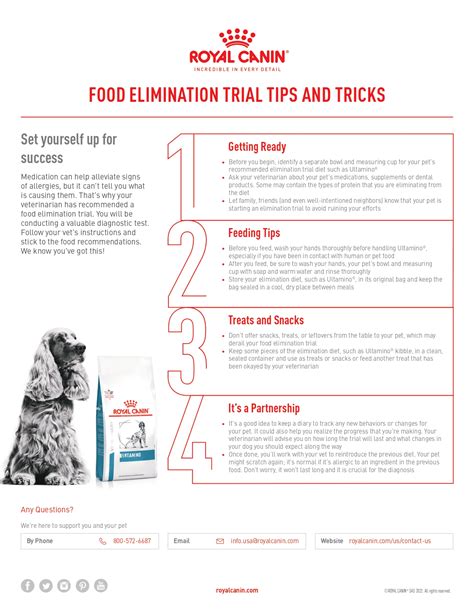 Elimination Diet Dog