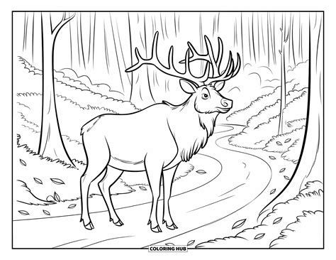 Elk Coloring Page