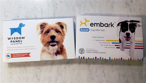 Embark vs. Wisdom Panel: A Quick Look