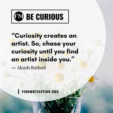 Embrace Your Curiosity
