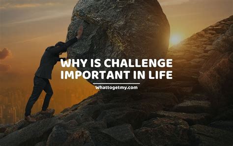 Embrace the Challenges of Life