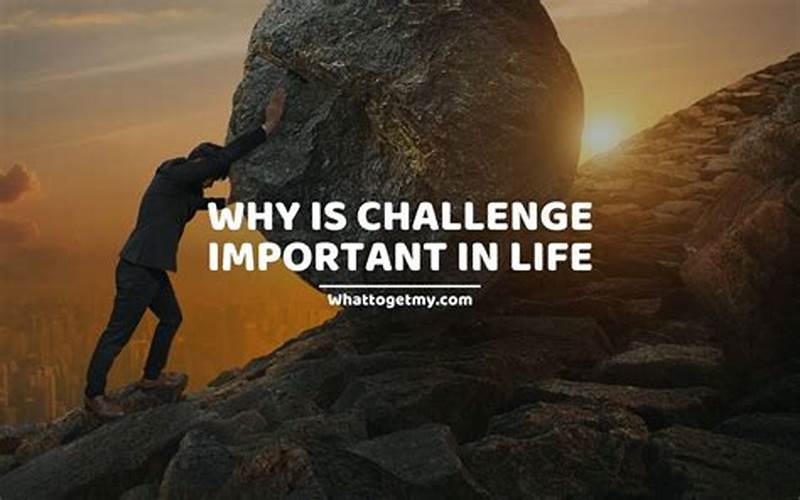 Embracing Life'S Challenges