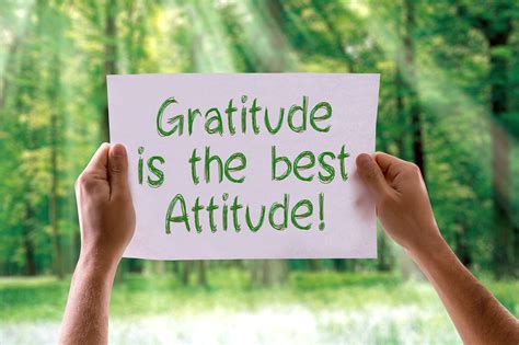 Embracing Gratitude for a Happier Mindset