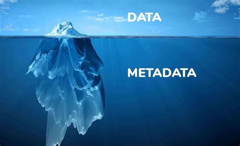 Embracing Metadata: Unlocking a Wealth of Information