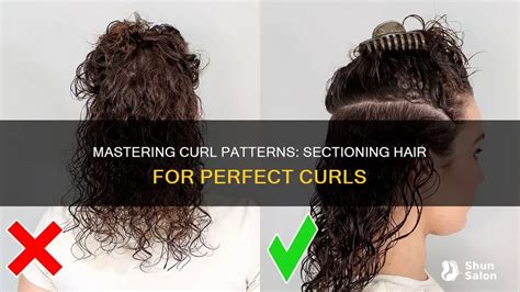 Embracing Your Curls Tips for the Back Section
