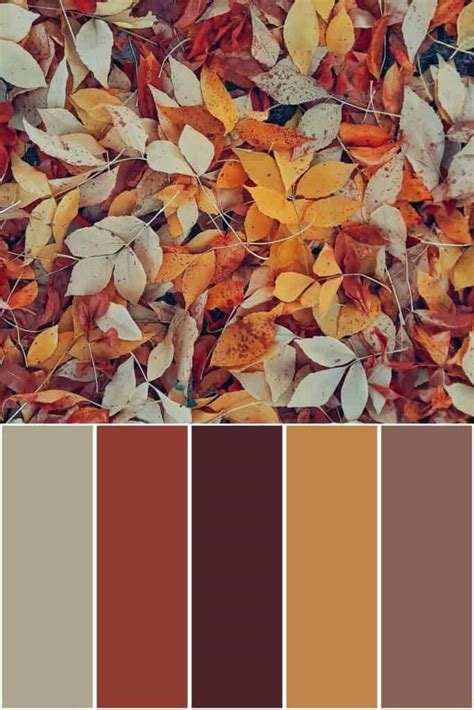 Embracing the Fall Color Palette