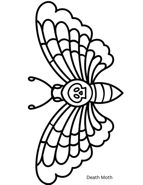 Embroidery Classes Yuba City