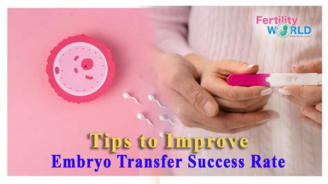 Embryo Transfer: Success, Culture & What You Need.