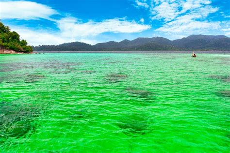 Emerald Green Water