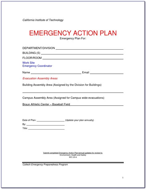 Emergency Plan Template For Schools