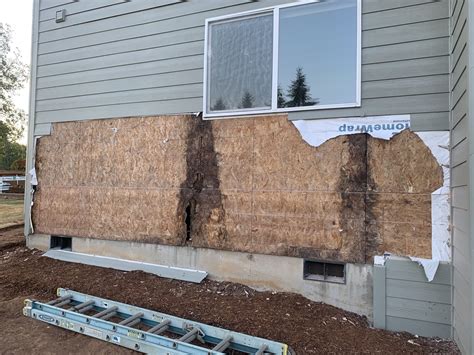 Emergency Dry Rot Repair Service