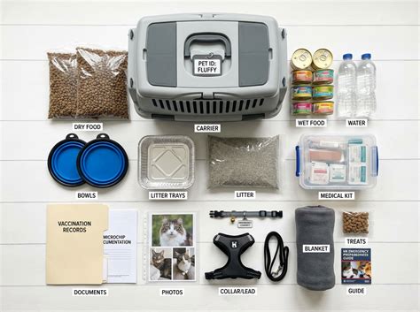 Emergency Meester Complete Collection: Updated 2026