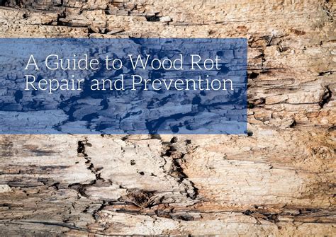 Emergency Wood Rot Repair