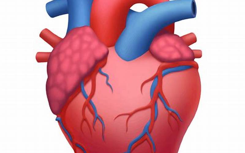 Emoji Human Heart
