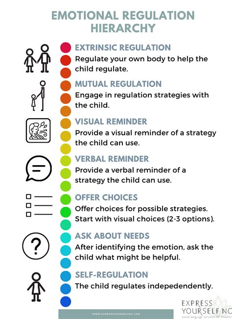 Emotional Regulation Balancing Act