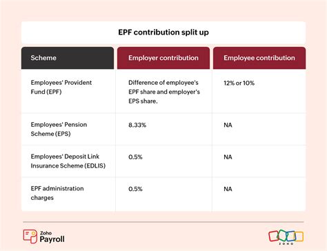 Employee and Employer Contributions Explained