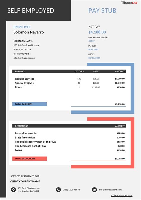 Employment Pay Stub Template
