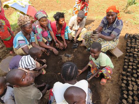 Empowering Restoration Projects