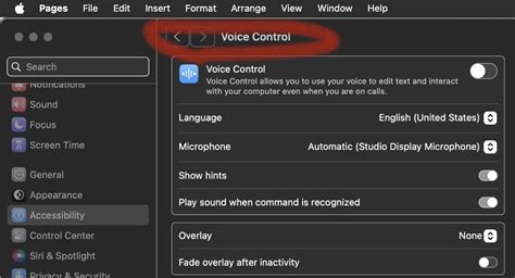 Enable Voice Control on macOS