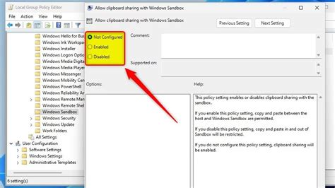 Enable clipboard sharing