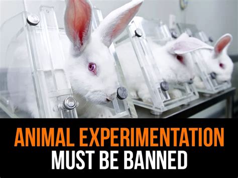 Encouraging Collaboration in Animal Testing