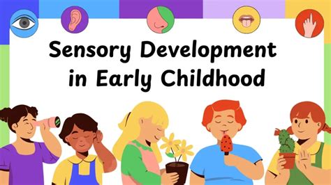 Encouraging Sensory Development