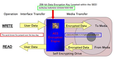 Encrypting itself