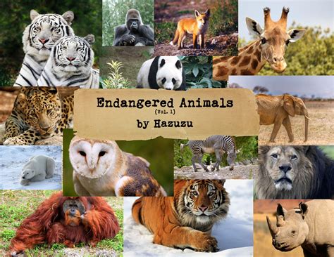 Endangered Animals Collage