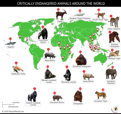Endangered Animals In The World