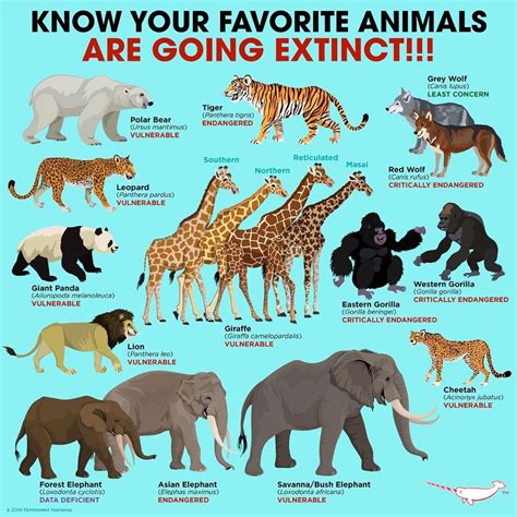 Endangered Animals That Are Going Extinct