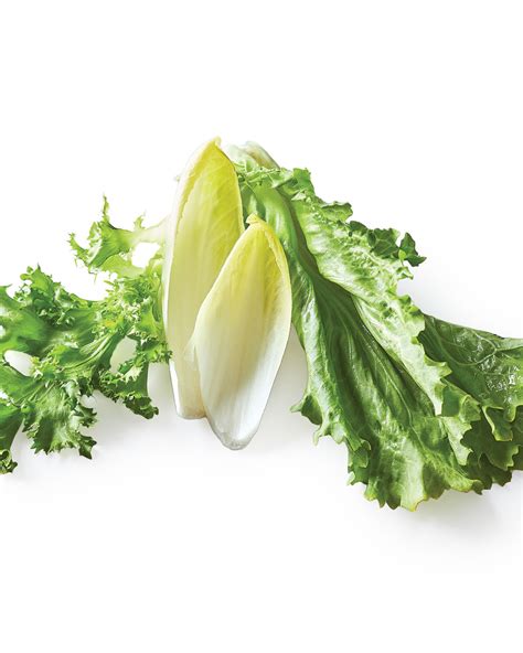 endive
