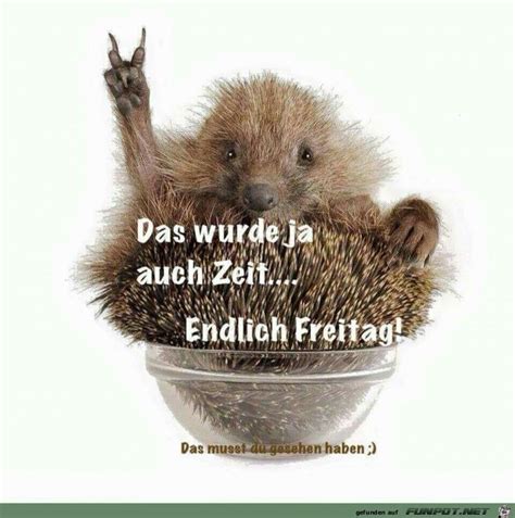 Endlich Freitag Bilder