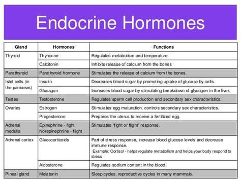 Endocrine System And Hormones Chart