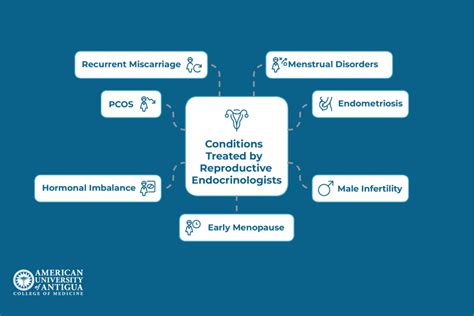 Endocrinologist: Conditions Treated & Expert Care