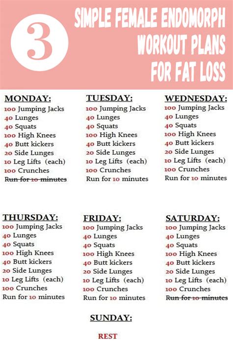 Endomorph Workout Plan To Lose Weight