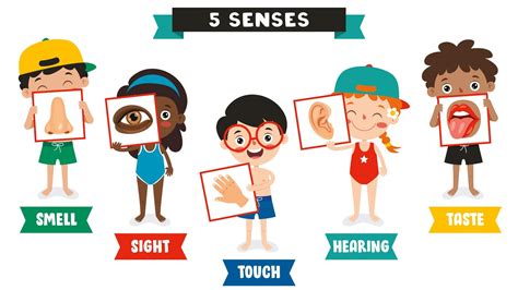 Engaging Senses Learning
